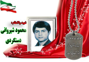 شهید محمود شیروانی دستگردی