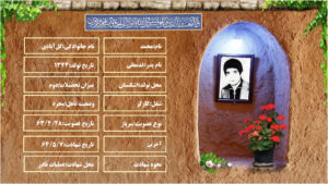 شهید محمد گل آبادی