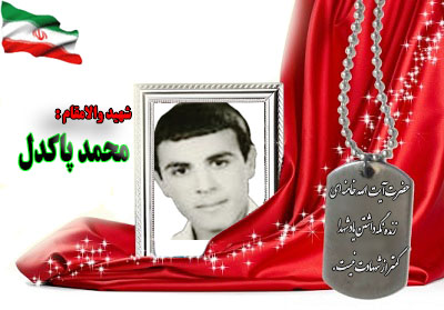 شهید محمدپاکدل