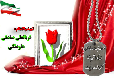 شهید قربانعلی صادقی هاردنگی