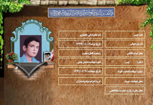 حسن انصاری