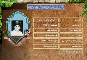 محسن ابراهیم نجف آبادی