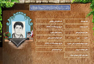 هوشنگ پاشایی