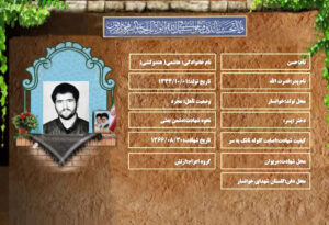 حسن هاشمي( هندوکشي)