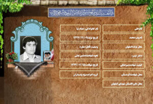 علی همام نیا