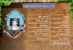 محسن ملاوانی