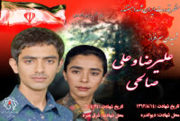 کلیپ شهیدان سرافراز علیرضا و علی اکبر صالحی
