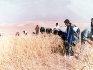 مردمیاری (علی اصغر صافی)